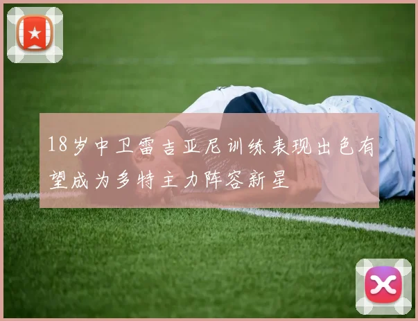 18岁中卫雷吉亚尼训练表现出色有望成为多特主力阵容新星