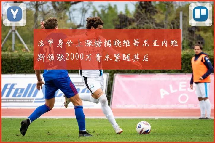 法甲身价上涨榜揭晓维蒂尼亚内维斯领涨2000万青木紧随其后