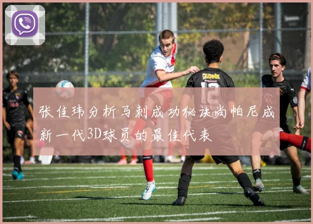 张佳玮分析马刺成功秘诀尚帕尼成新一代3D球员的最佳代表