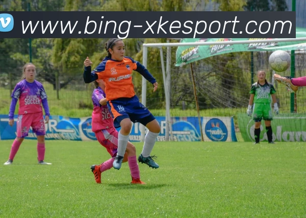 星空电竞平台生态图